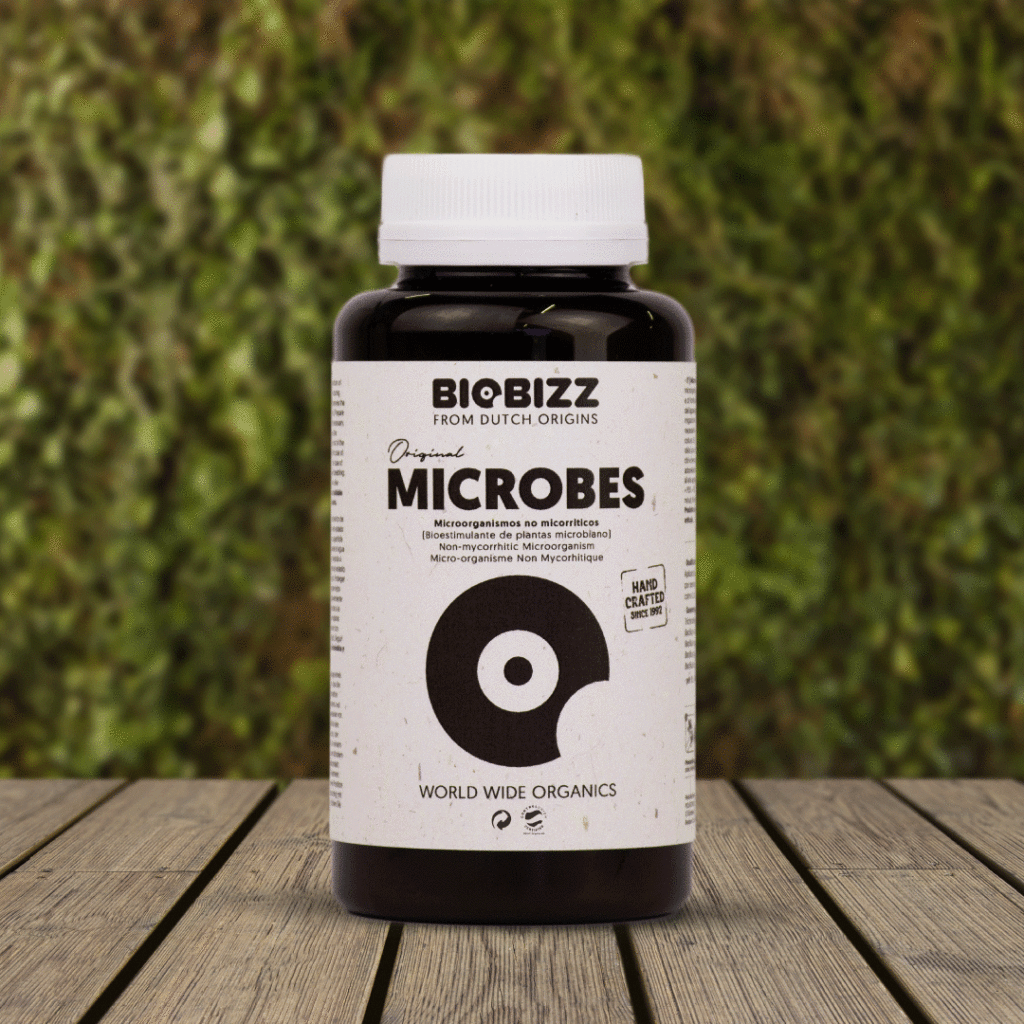 Biobizz Microbes