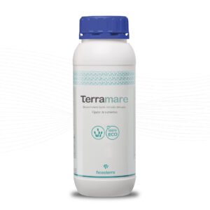 Terramare